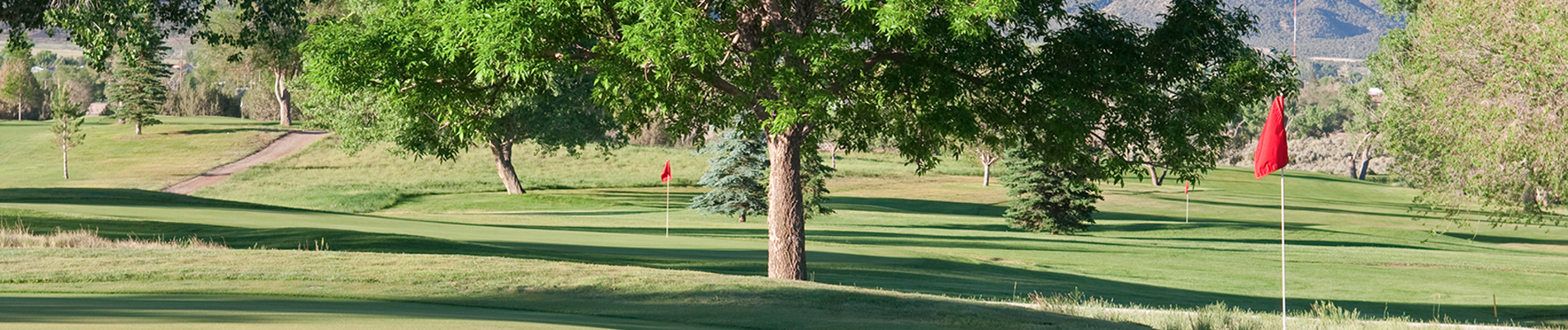 FCBA Golf Tournament